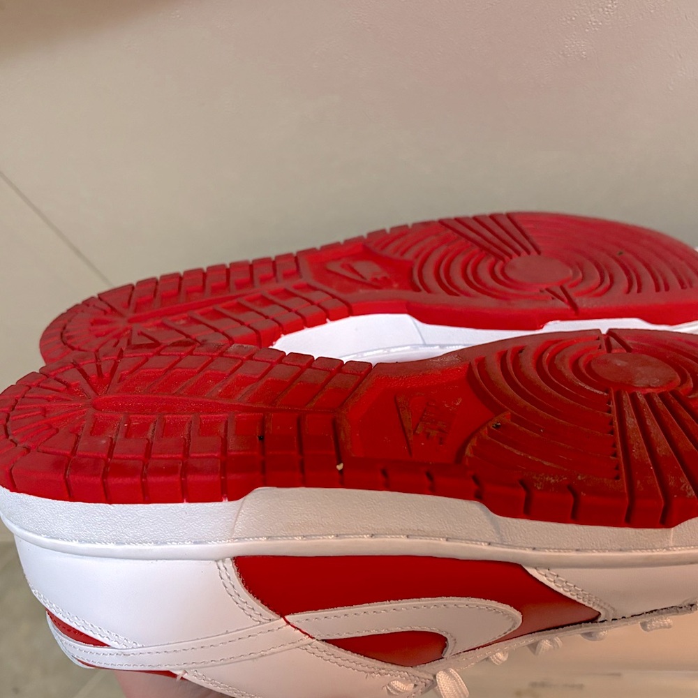 Nike Dunks Men
